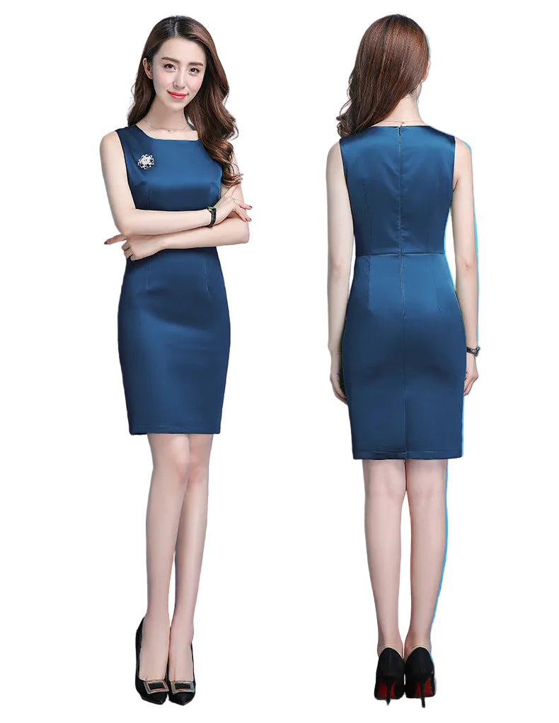 Business suit suit skirt dress - cas7m