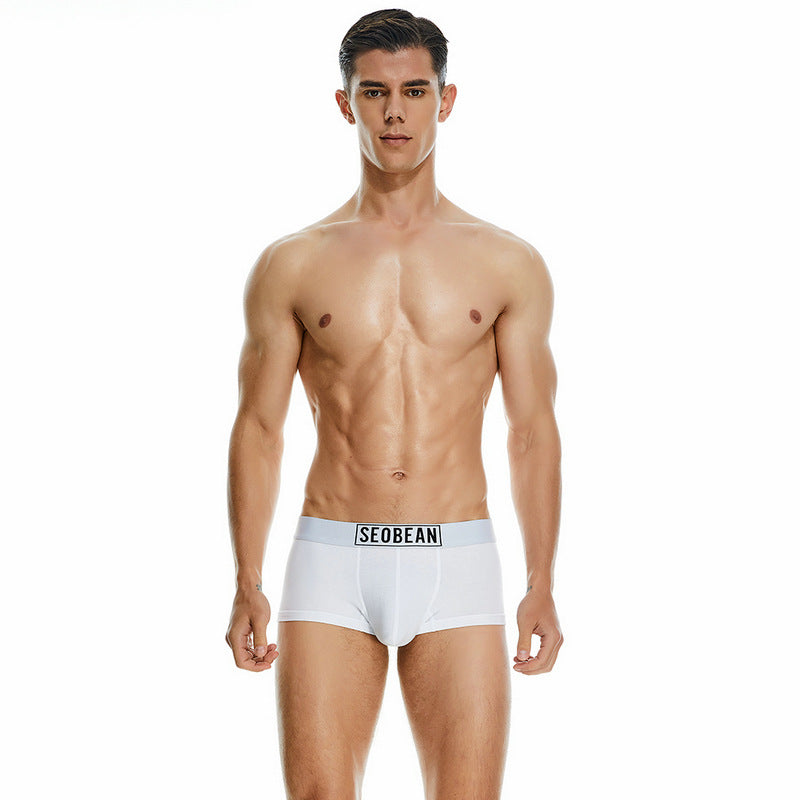 Men's Cotton Underpants Low Waist Casual Boxer Boxer Briefs - cas7m