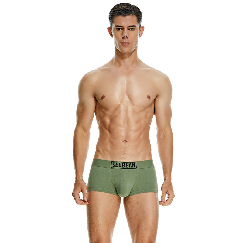 Men's Cotton Underpants Low Waist Casual Boxer Boxer Briefs - cas7m