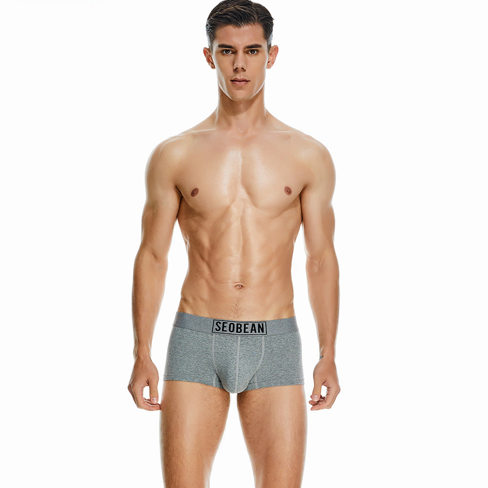 Men's Cotton Underpants Low Waist Casual Boxer Boxer Briefs - cas7m