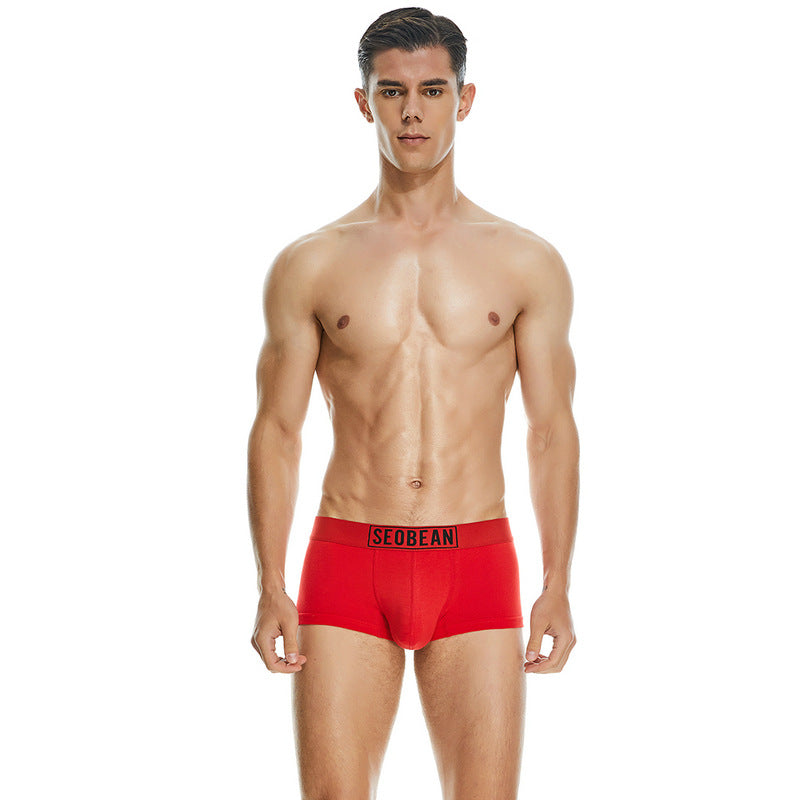 Men's Cotton Underpants Low Waist Casual Boxer Boxer Briefs - cas7m