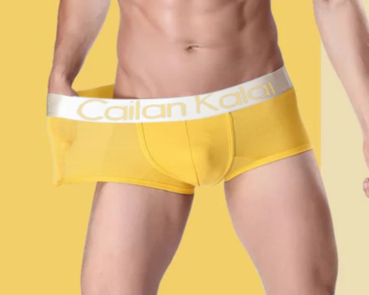 Men's Underwear Boxers Modal Breathable Boxer - cas7m