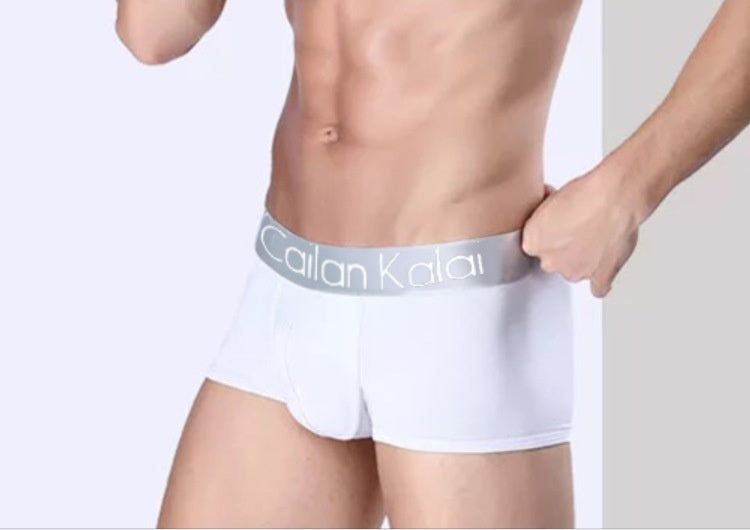 Men's Underwear Boxers Modal Breathable Boxer - cas7m