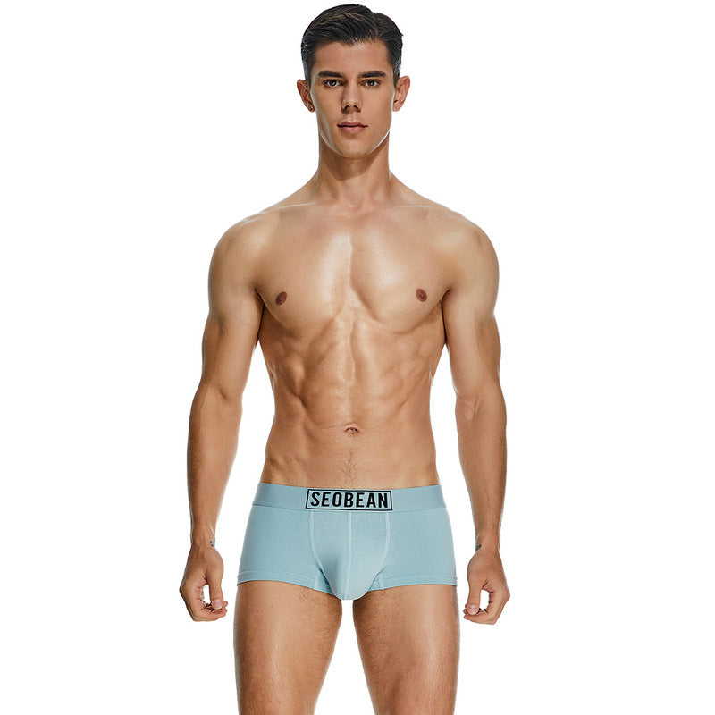 Men's Cotton Underpants Low Waist Casual Boxer Boxer Briefs - cas7m
