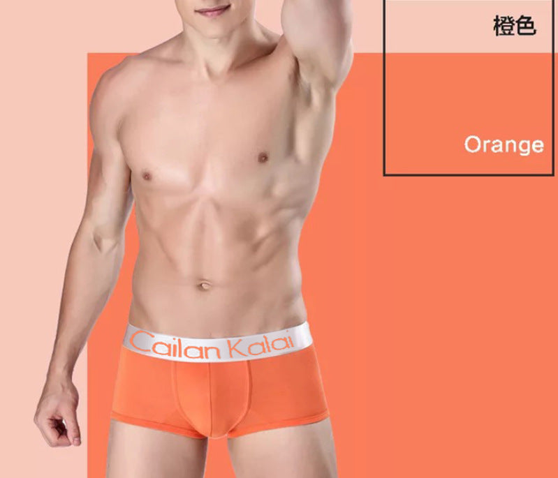 Men's Underwear Boxers Modal Breathable Boxer - cas7m