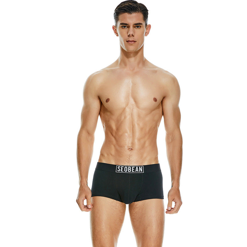 Men's Cotton Underpants Low Waist Casual Boxer Boxer Briefs - cas7m